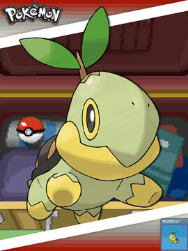 Turtwig