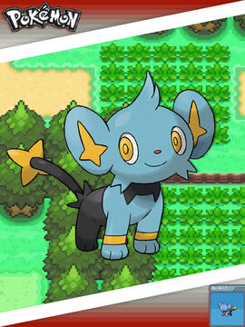 Shinx